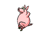 All piggs are equal
